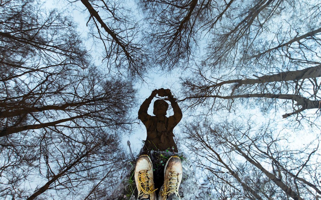 Directly above shot man and bare trees reflecting in puddle