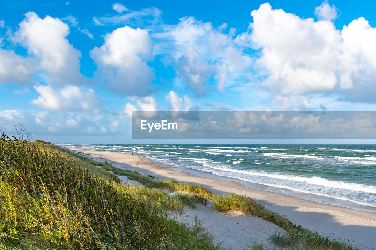 Rough sea with waves in autumn or winter, sandy beach and dunes with reeds and dry grass, morning