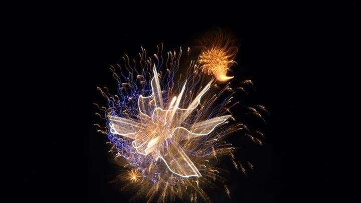 FIREWORKS EXPLODING AT NIGHT