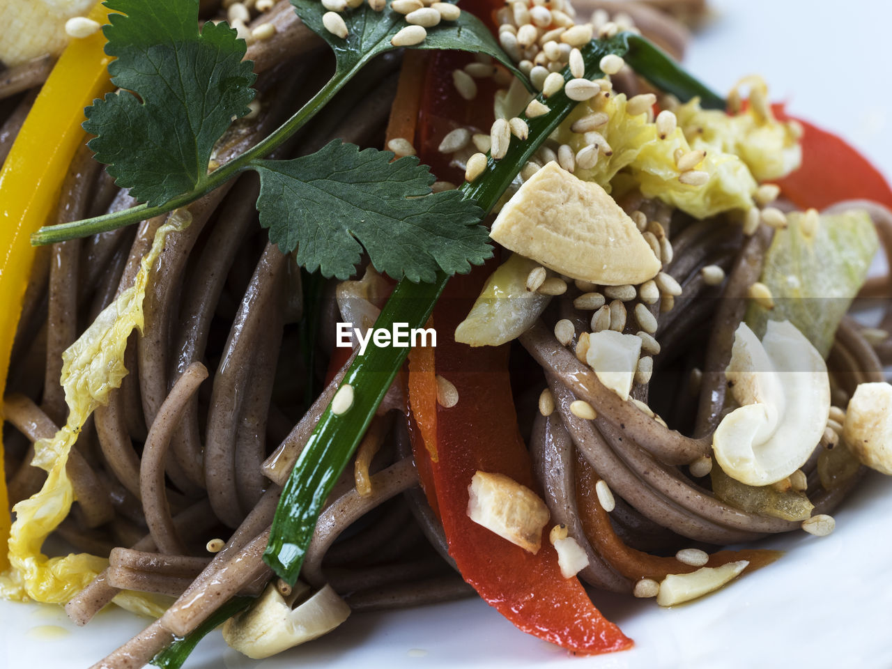 Close-up of soba served in plate