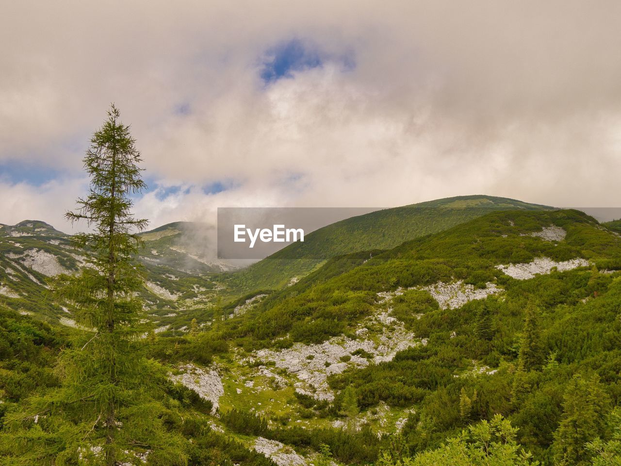 SCENIC VIEW OF TREE MOUNTAINS AGAINST SKY