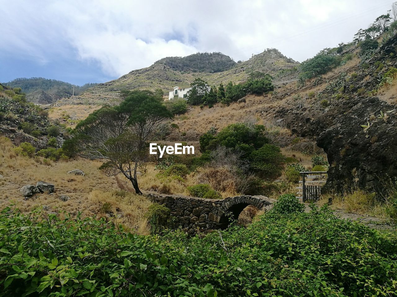 Plants on countryside landscape against mountain range