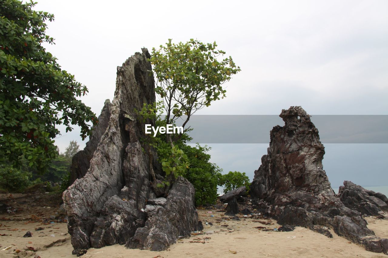 TREES ON ROCKS AGAINST SKY