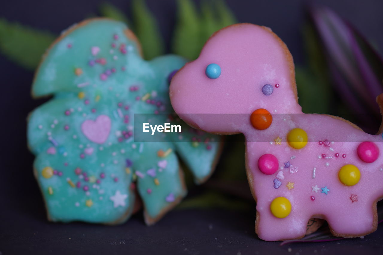 Close-up of multi colored candies