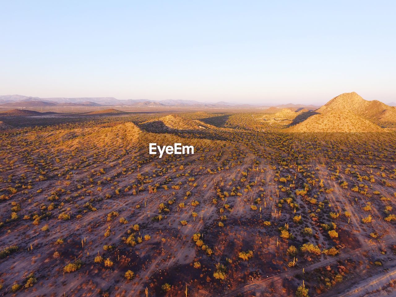 High angle view of trees growing on landscape against clear sky