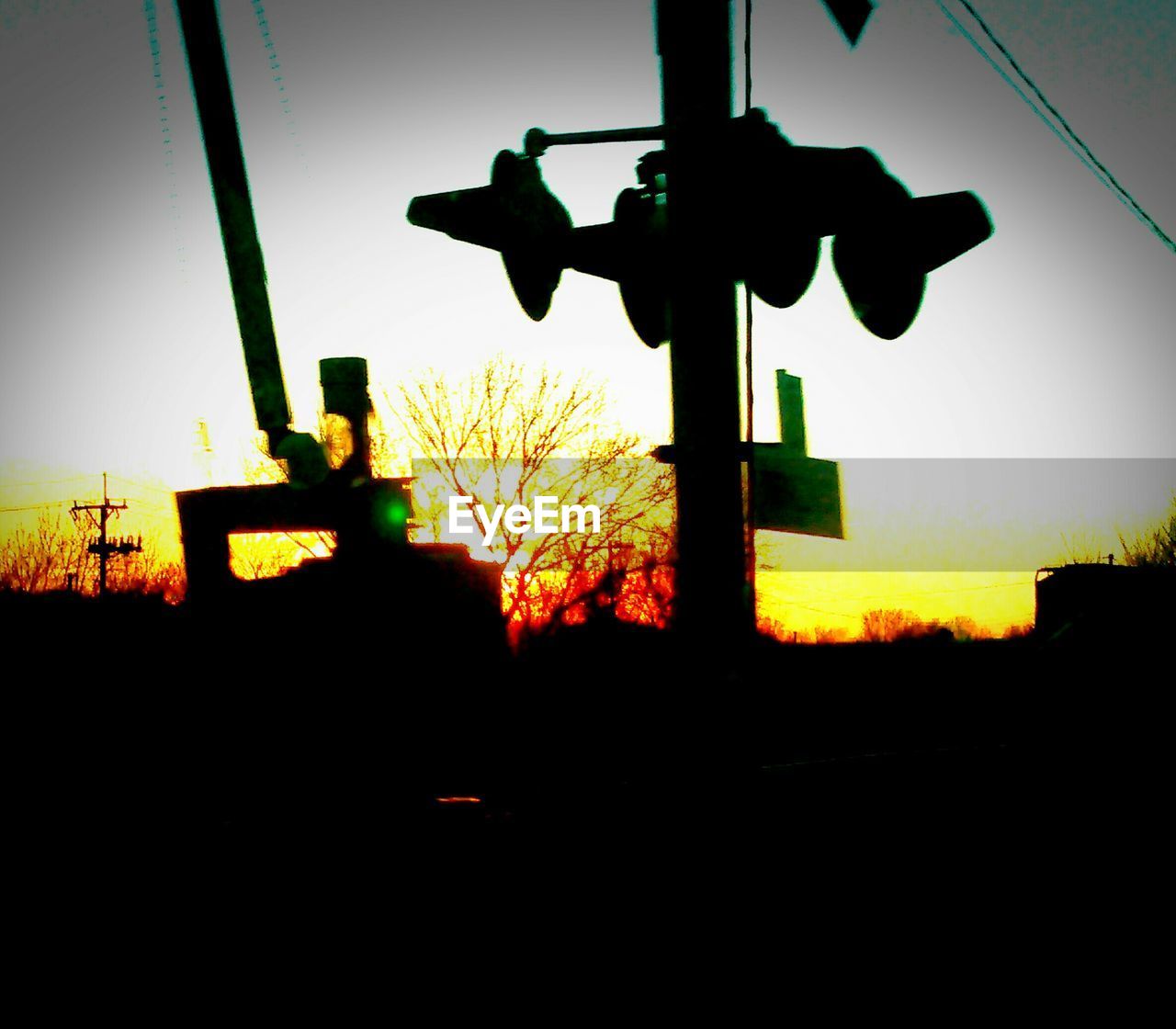 SILHOUETTE OF TREE AGAINST SKY AT SUNSET