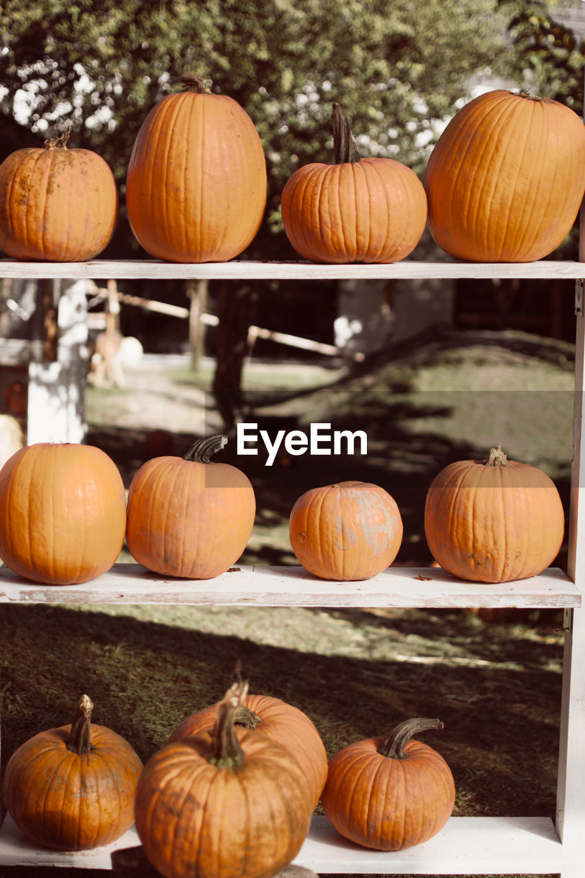 Pumpkins in market stand during autumn