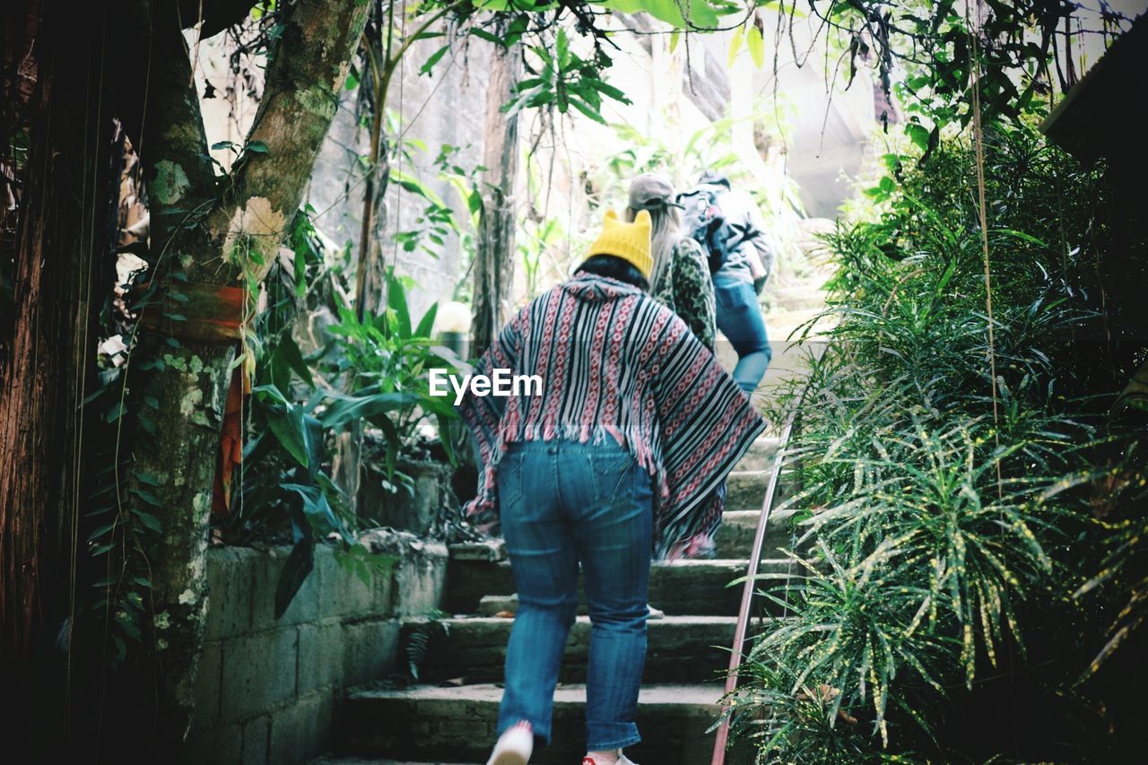 REAR VIEW OF MAN STANDING BY PLANTS IN FOREST