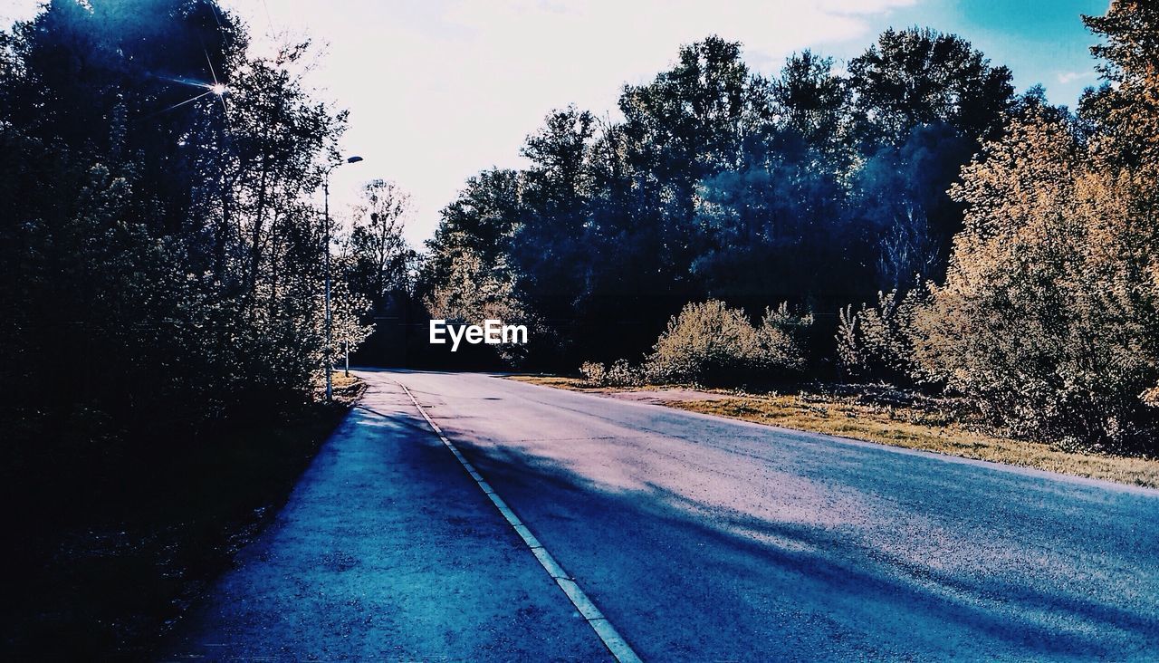 VIEW OF ROAD ALONG TREES