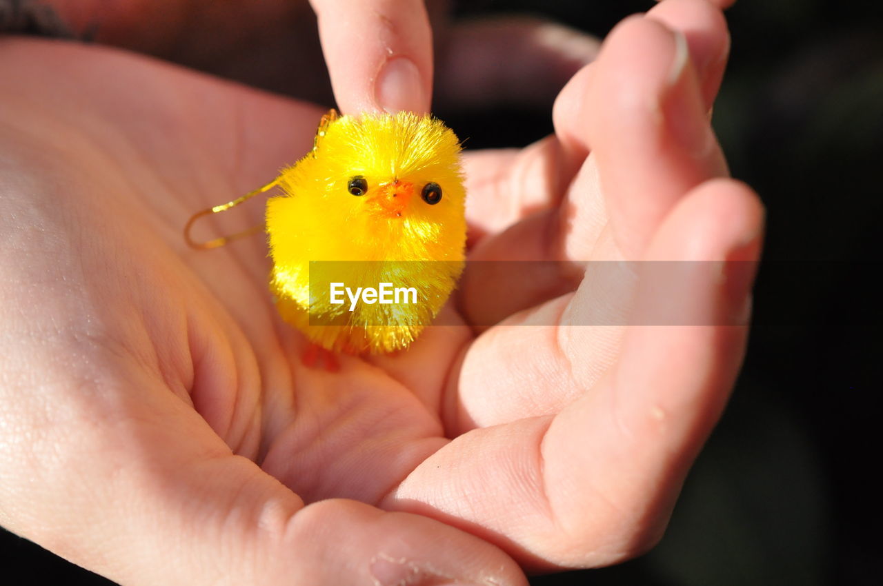 Cropped image of hand holding toy baby chicken
