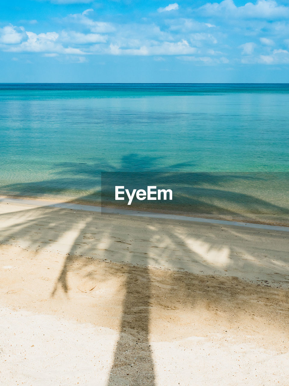 Scenic coconut palm tree silhouette shadow on white sand beach. koh mak island, thailand. minimal.