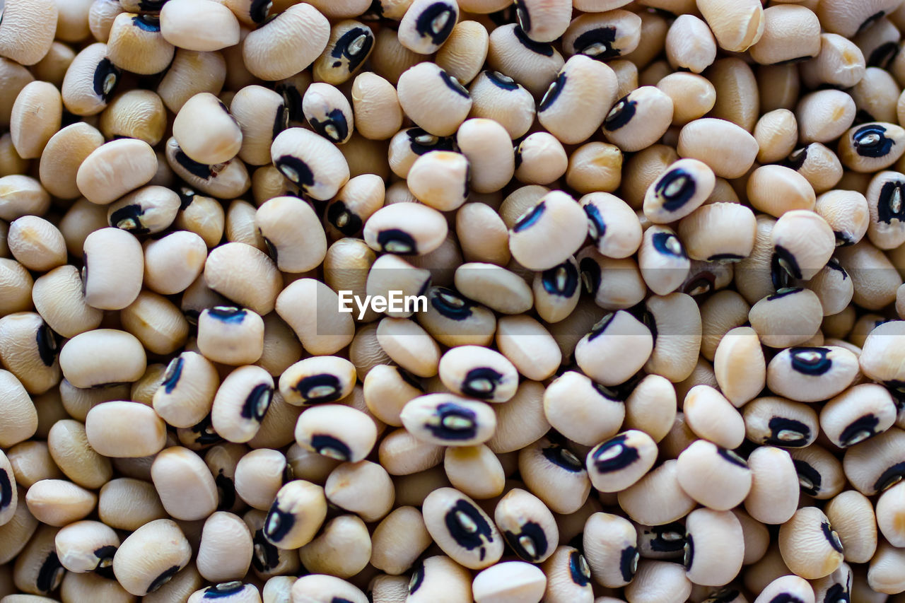 Close-up view dried white beans
