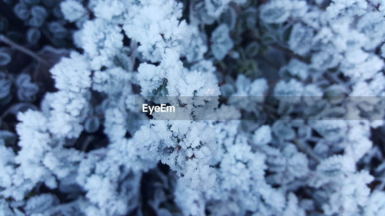 CLOSE-UP OF SNOW DURING WINTER