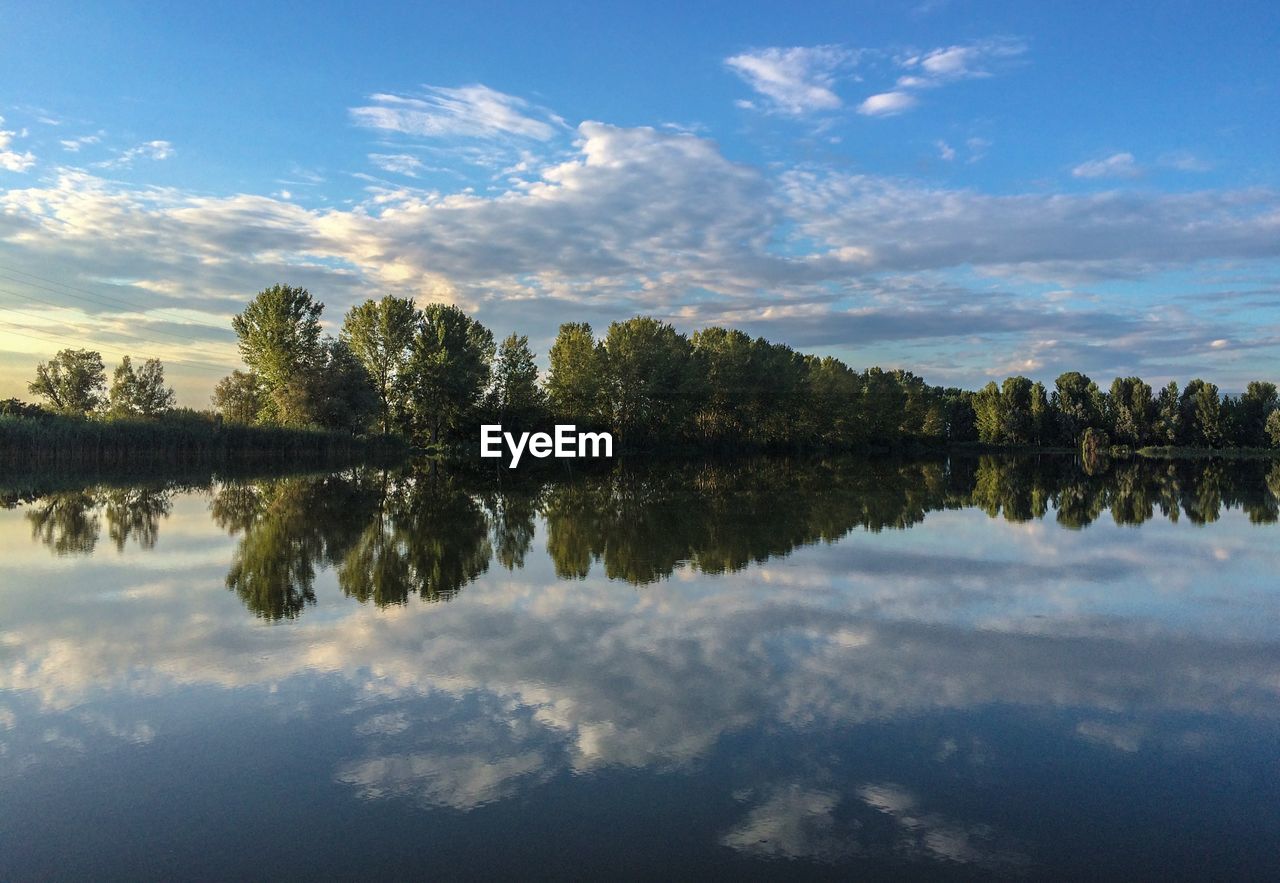 Reflection of trees in lake