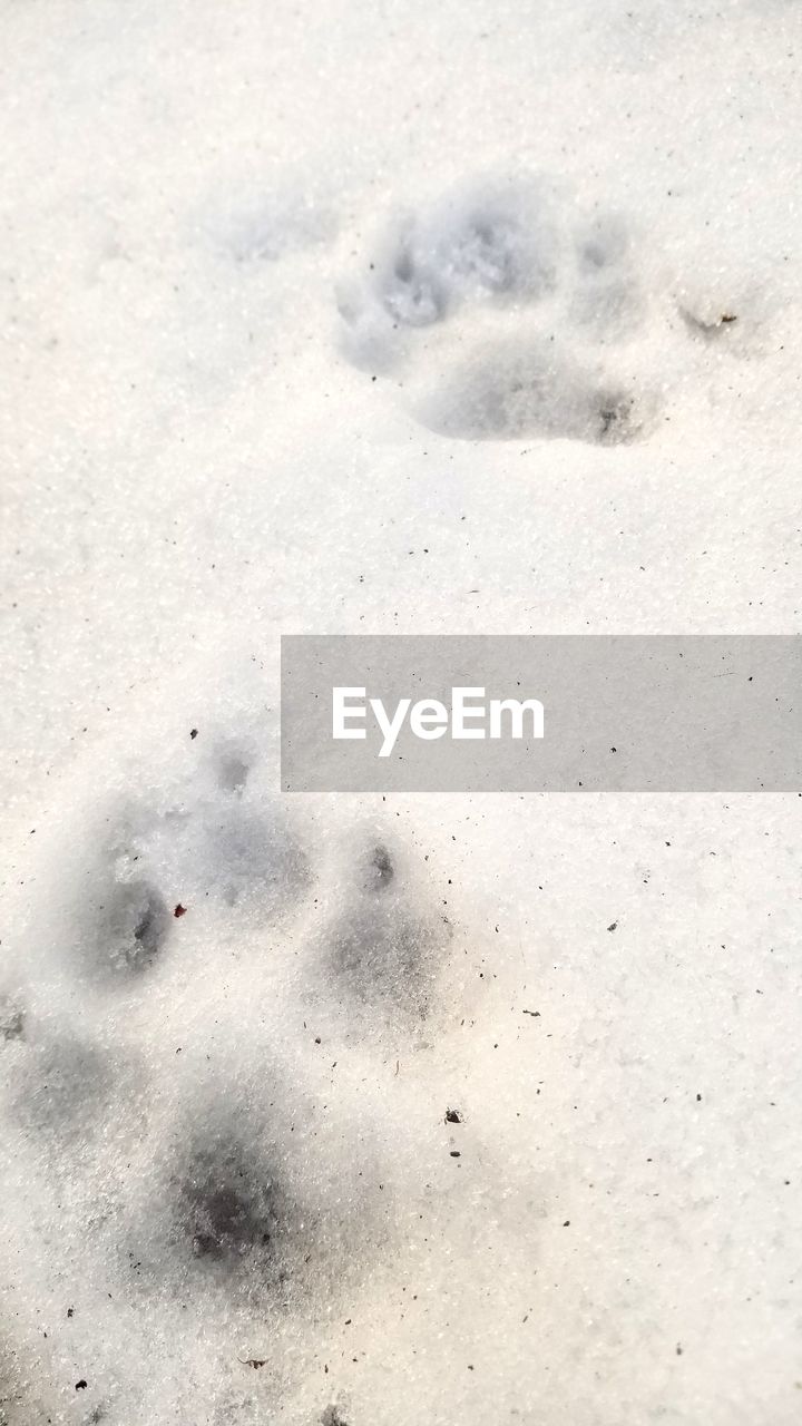 HIGH ANGLE VIEW OF SNOW ON LAND DURING WINTER