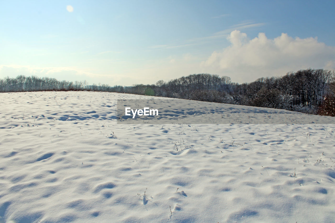 SCENIC VIEW OF SNOW COVERED LAND