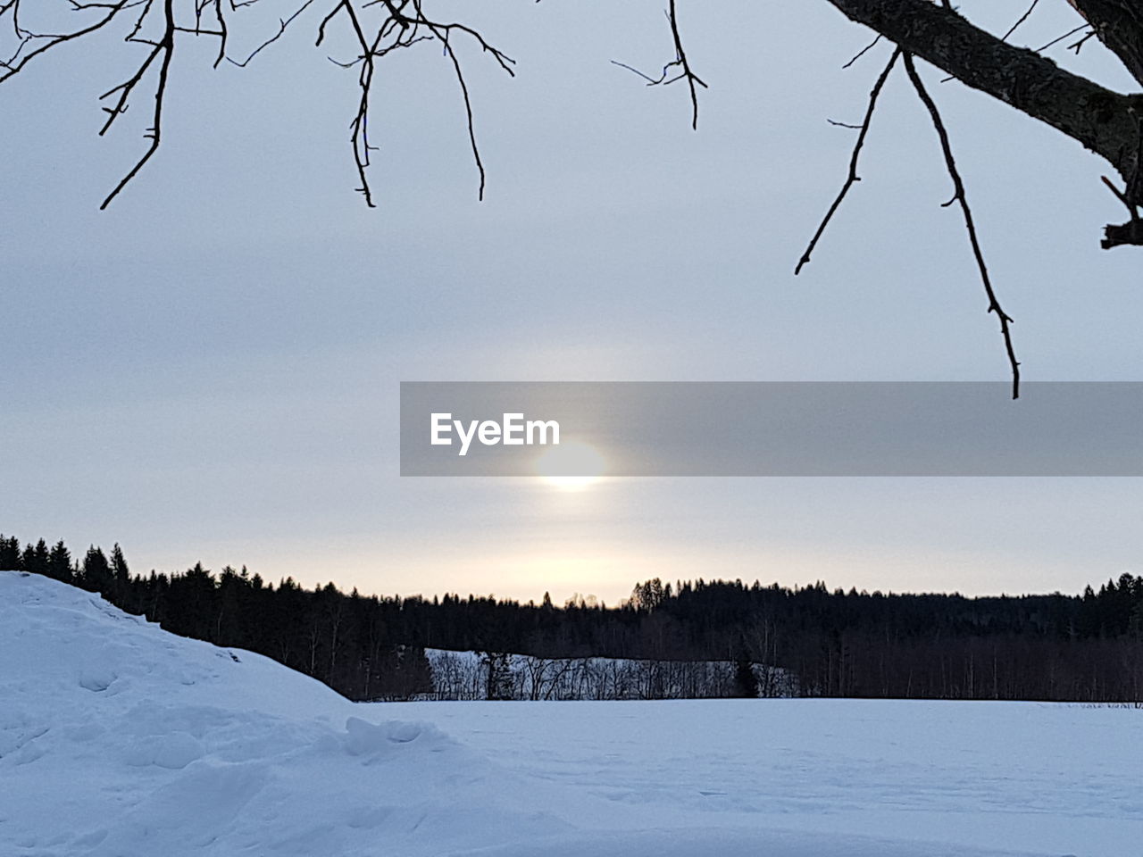 TREES ON SNOW COVERED LANDSCAPE AGAINST SKY