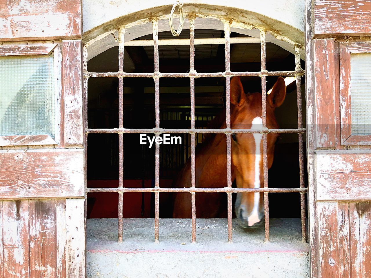 FULL FRAME SHOT OF WINDOW IN STABLE