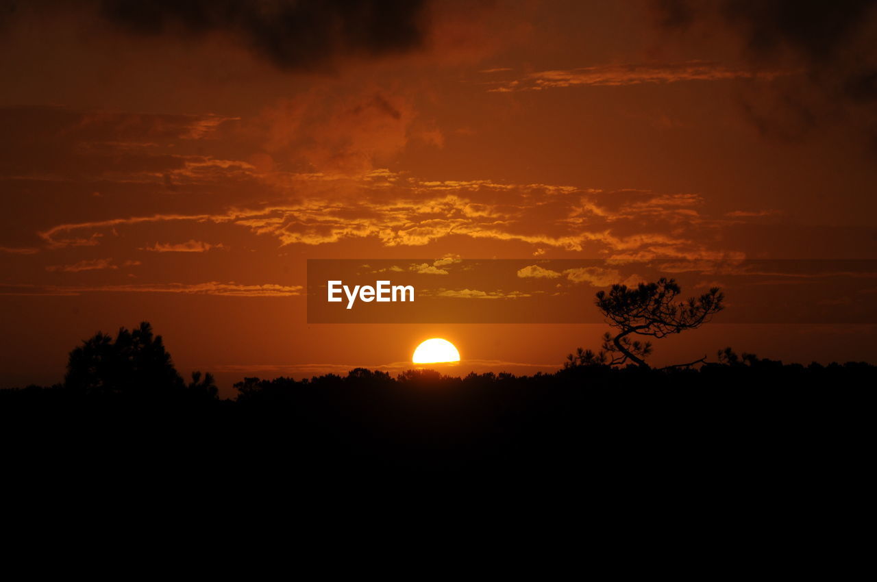 Silhouette landscape at sunset