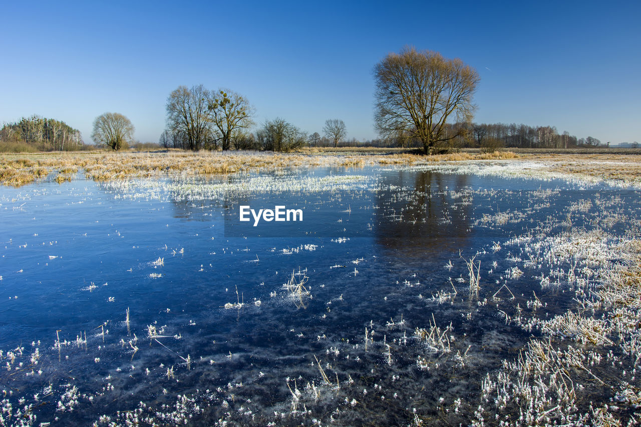 Frozen water on the meadow, trees and blue sky