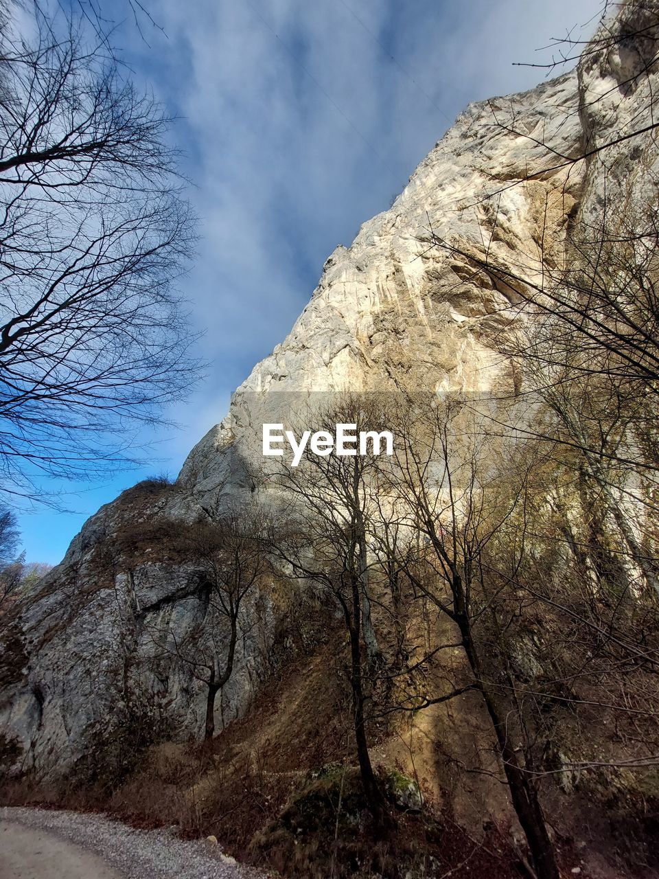 tree, bare tree, nature, plant, winter, sky, branch, low angle view, no people, tree trunk, rock, trunk, day, beauty in nature, leaf, outdoors, tranquility, reflection, sunlight, scenics - nature, cloud, autumn, land, non-urban scene