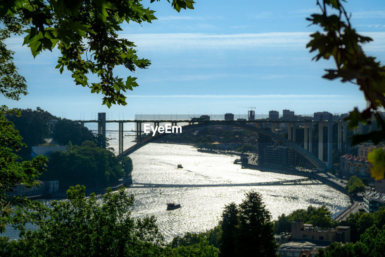 architecture, built structure, tree, plant, water, river, nature, sky, city, building exterior, bridge, travel destinations, travel, transportation, no people, reflection, day, outdoors, building, tourism, cityscape, cloud, sunlight, landscape