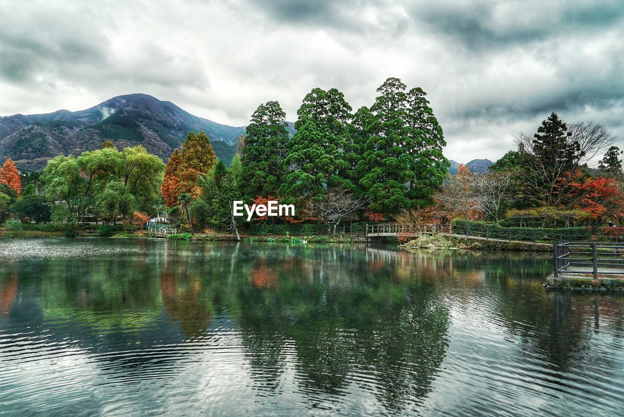 TREES BY LAKE AGAINST SKY