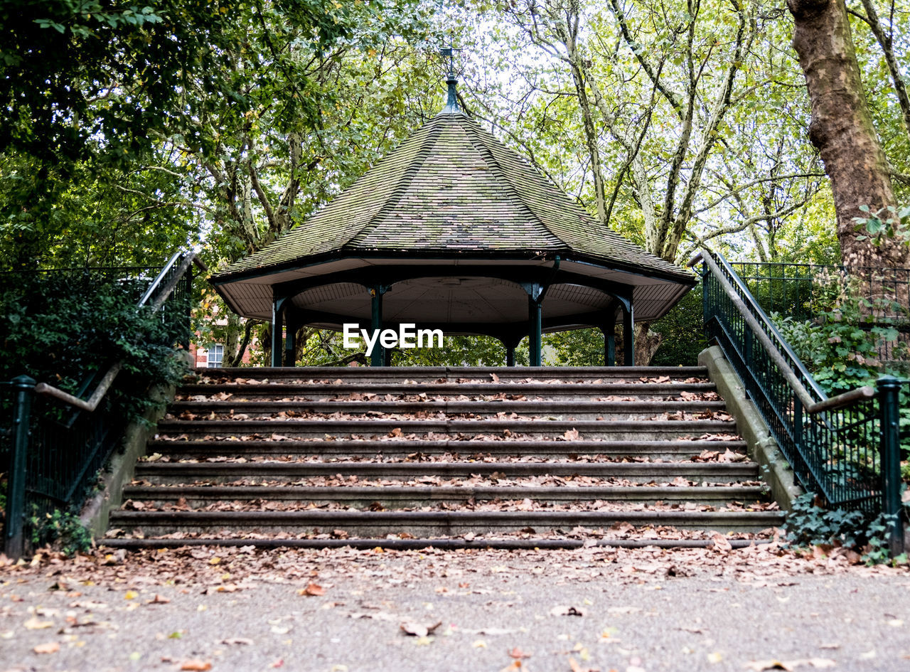 LOW ANGLE VIEW OF STEPS IN FOREST