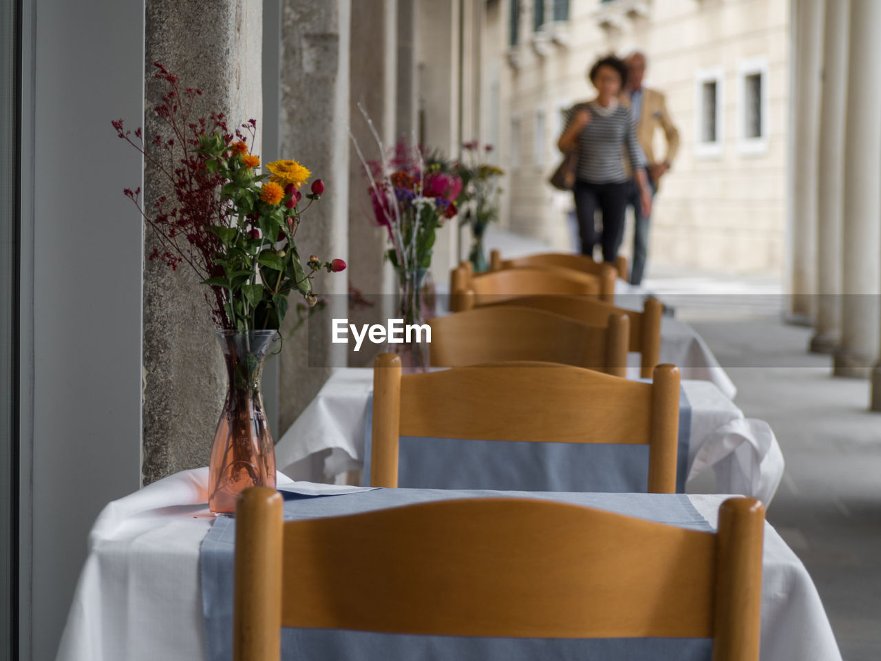 REAR VIEW OF WOMAN BY POTTED PLANTS AT TABLE