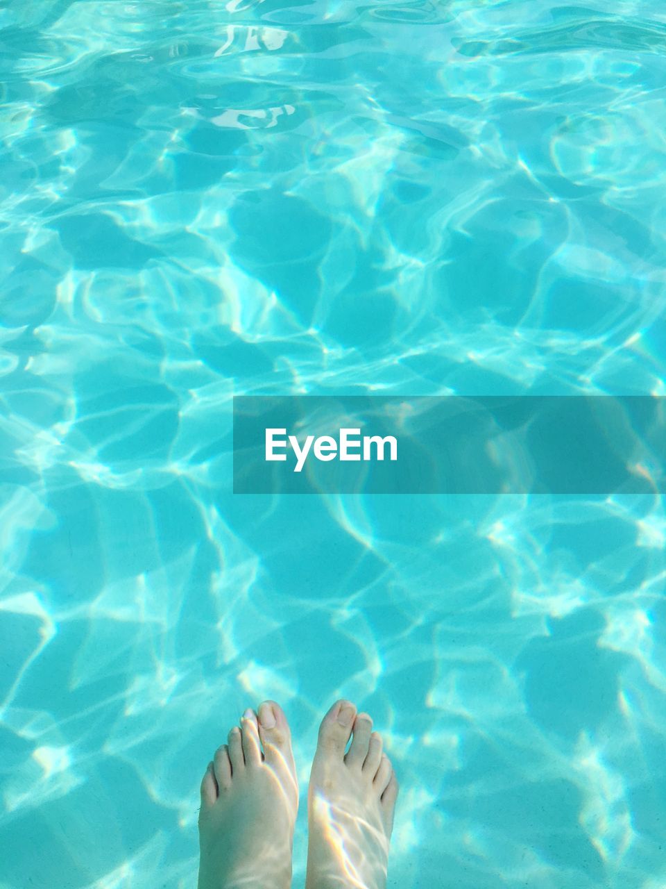 Low section of person in swimming pool