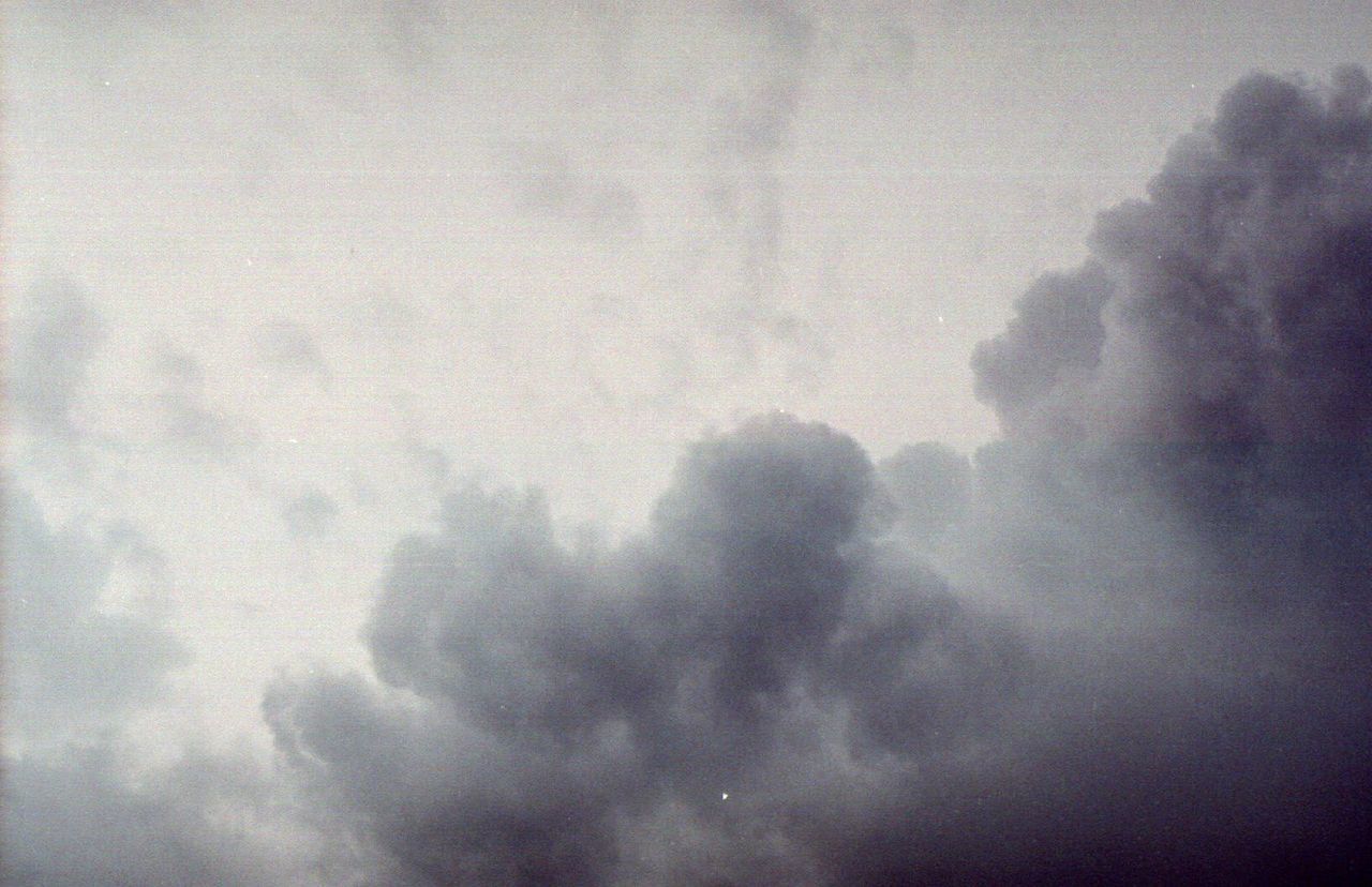 LOW ANGLE VIEW OF TREES AGAINST CLOUDY SKY