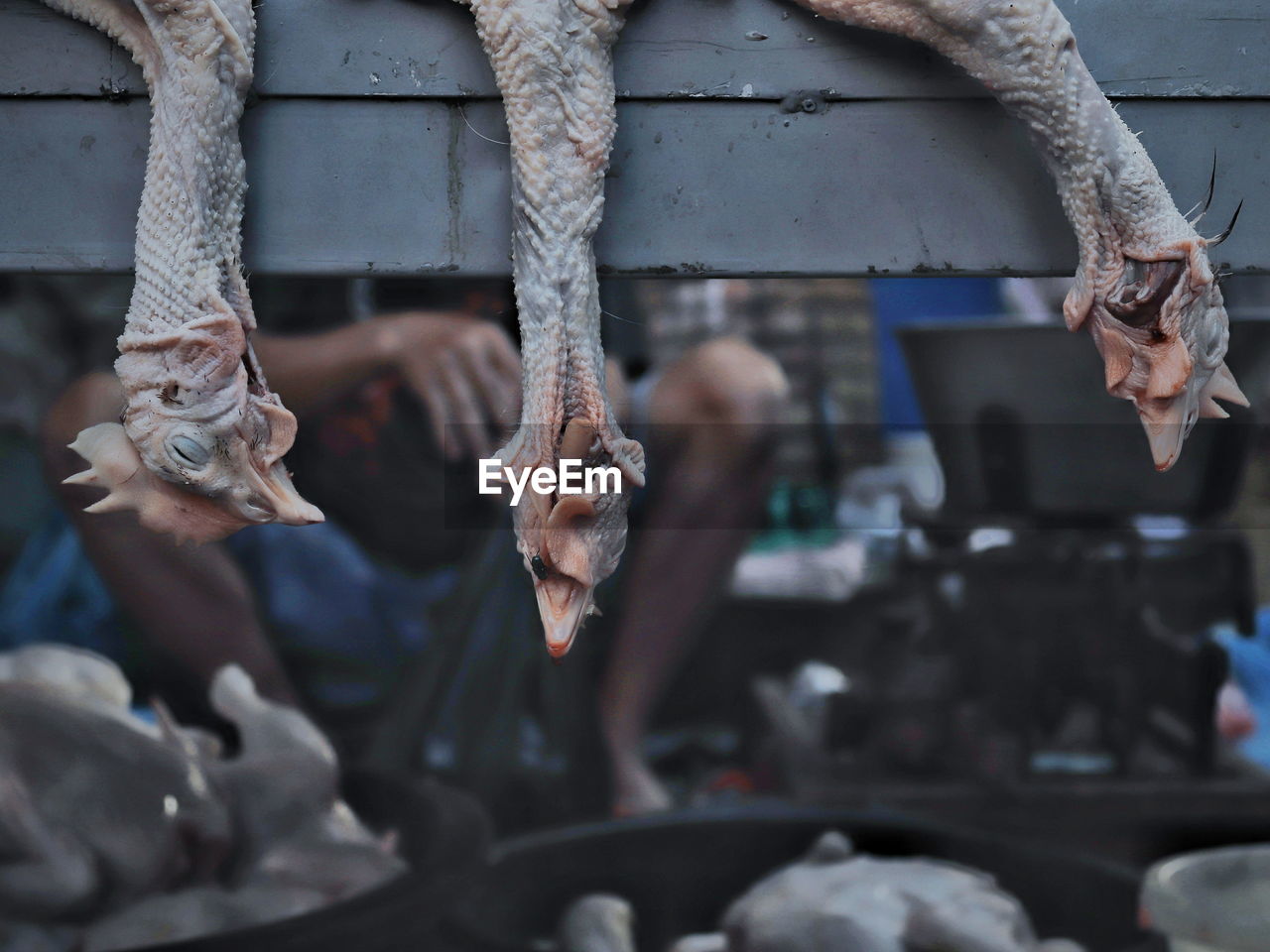 Close-up of dead chicken hanging in market