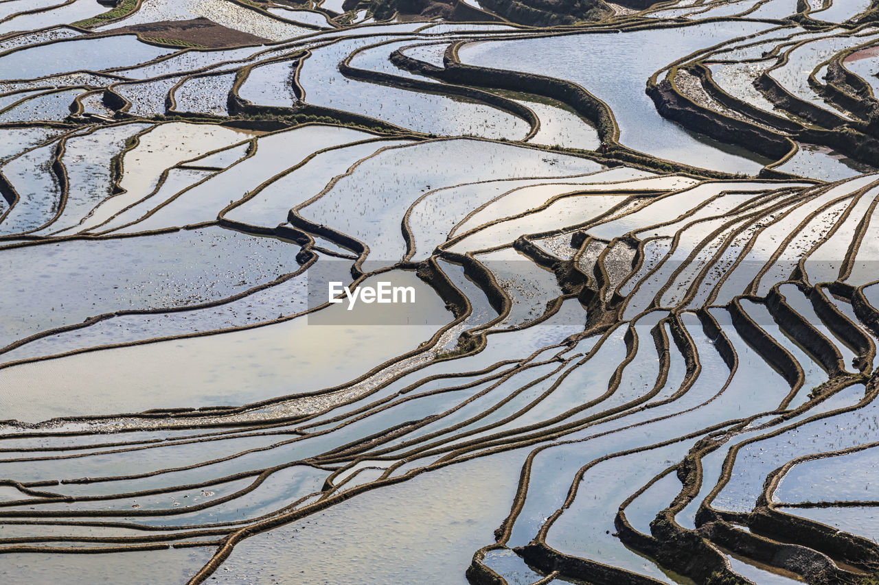 Full frame shot of terraced fields