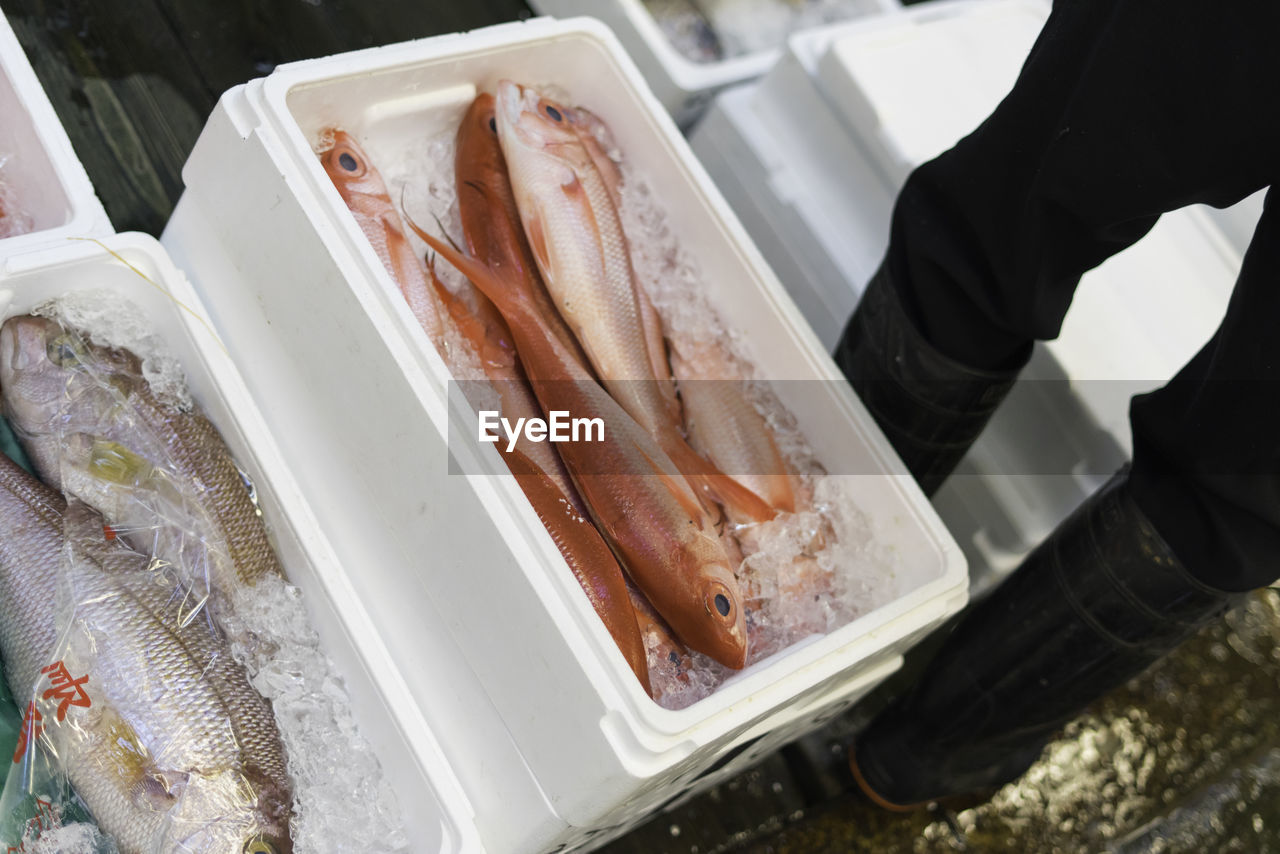 HIGH ANGLE VIEW OF FISH FOR SALE AT MARKET