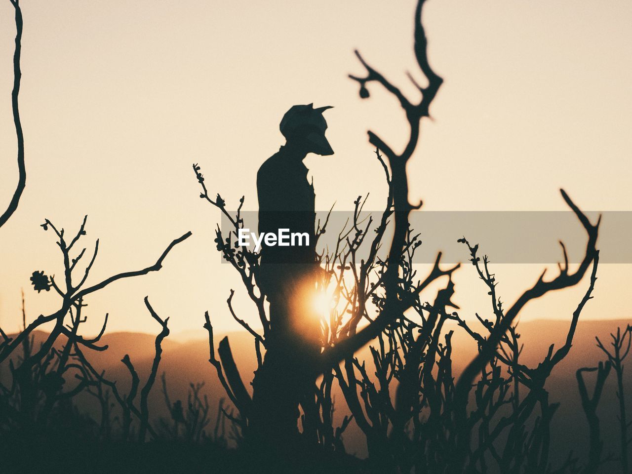 Silhouette man with animal mask standing on landscape