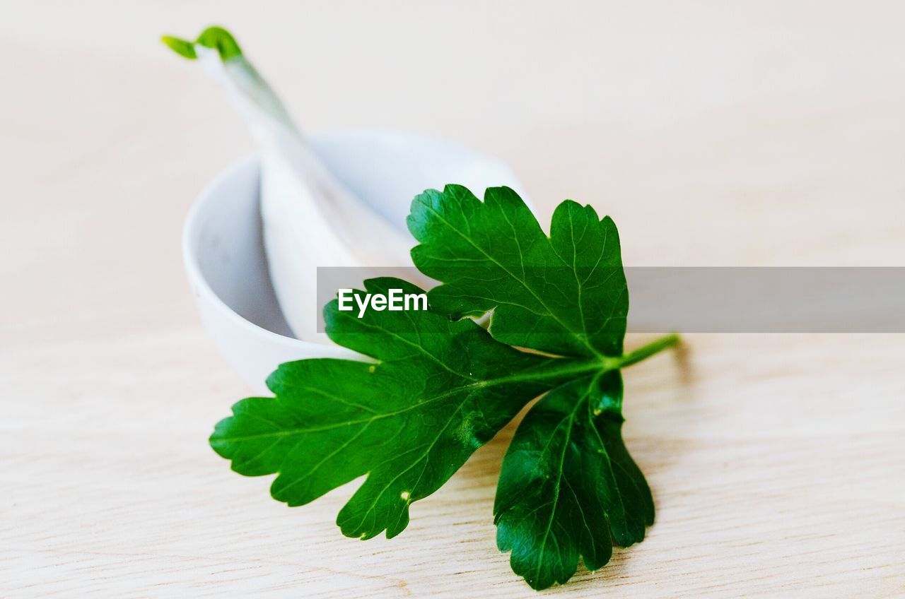 Close-up of parsley leaf and garlic on wooden table