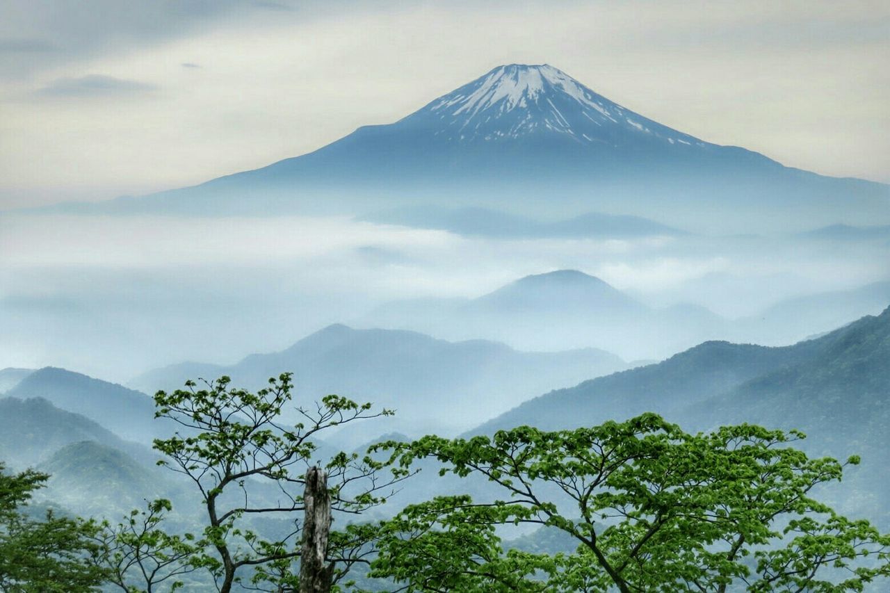 Scenic view of mountain in misty morning