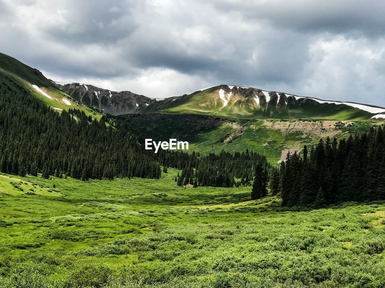 Scenic view of green landscape against sky