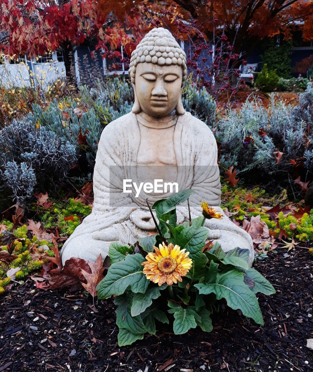 VIEW OF BUDDHA STATUE ON PLANTS