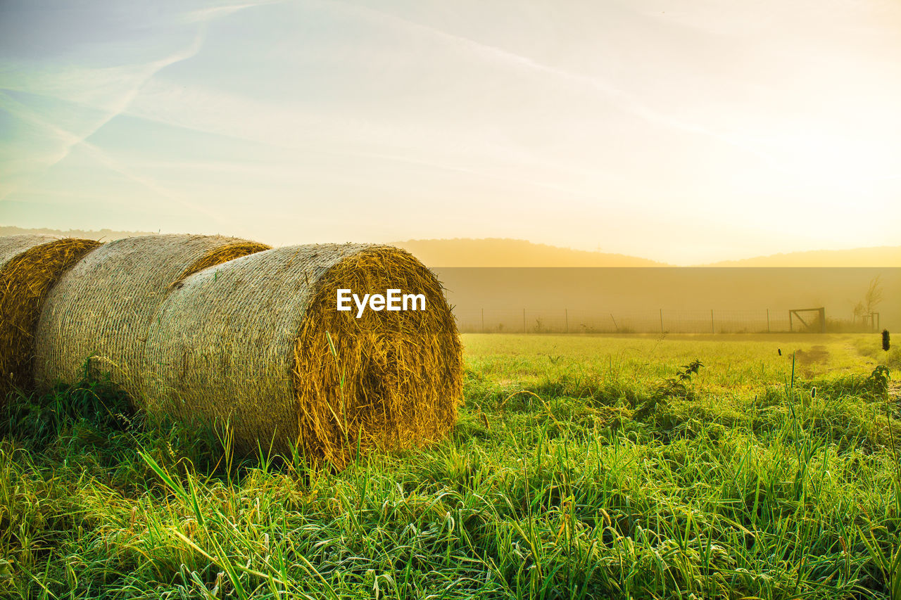 Hay bales on grassy field during sunrise