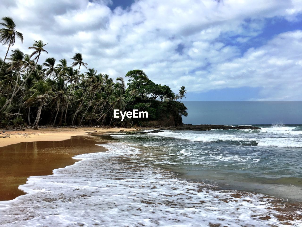 Palm trees on beach against cloudy sky