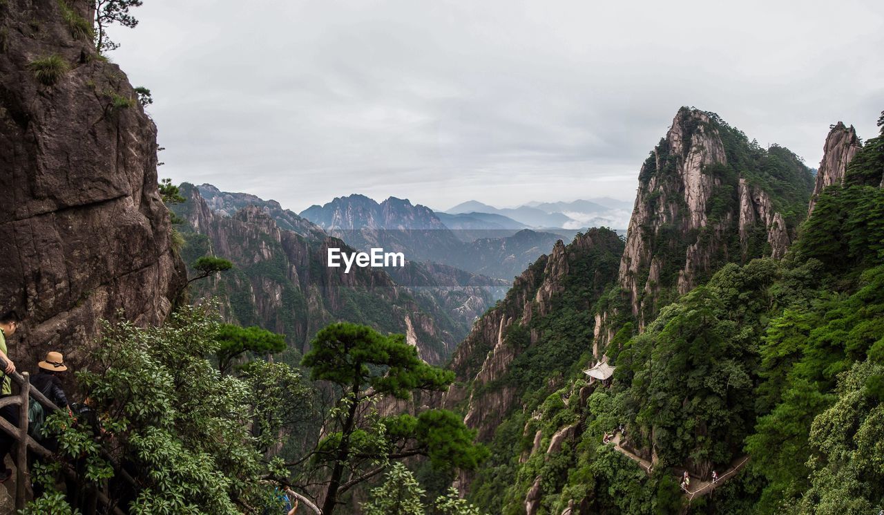 Panoramic view of trees and mountains against sky