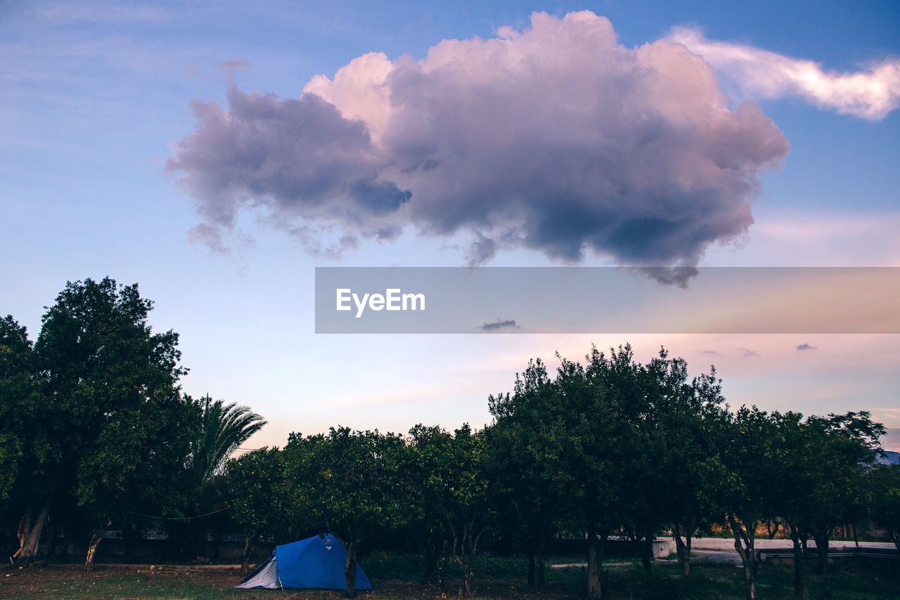Blue tent amidst trees on field against sky
