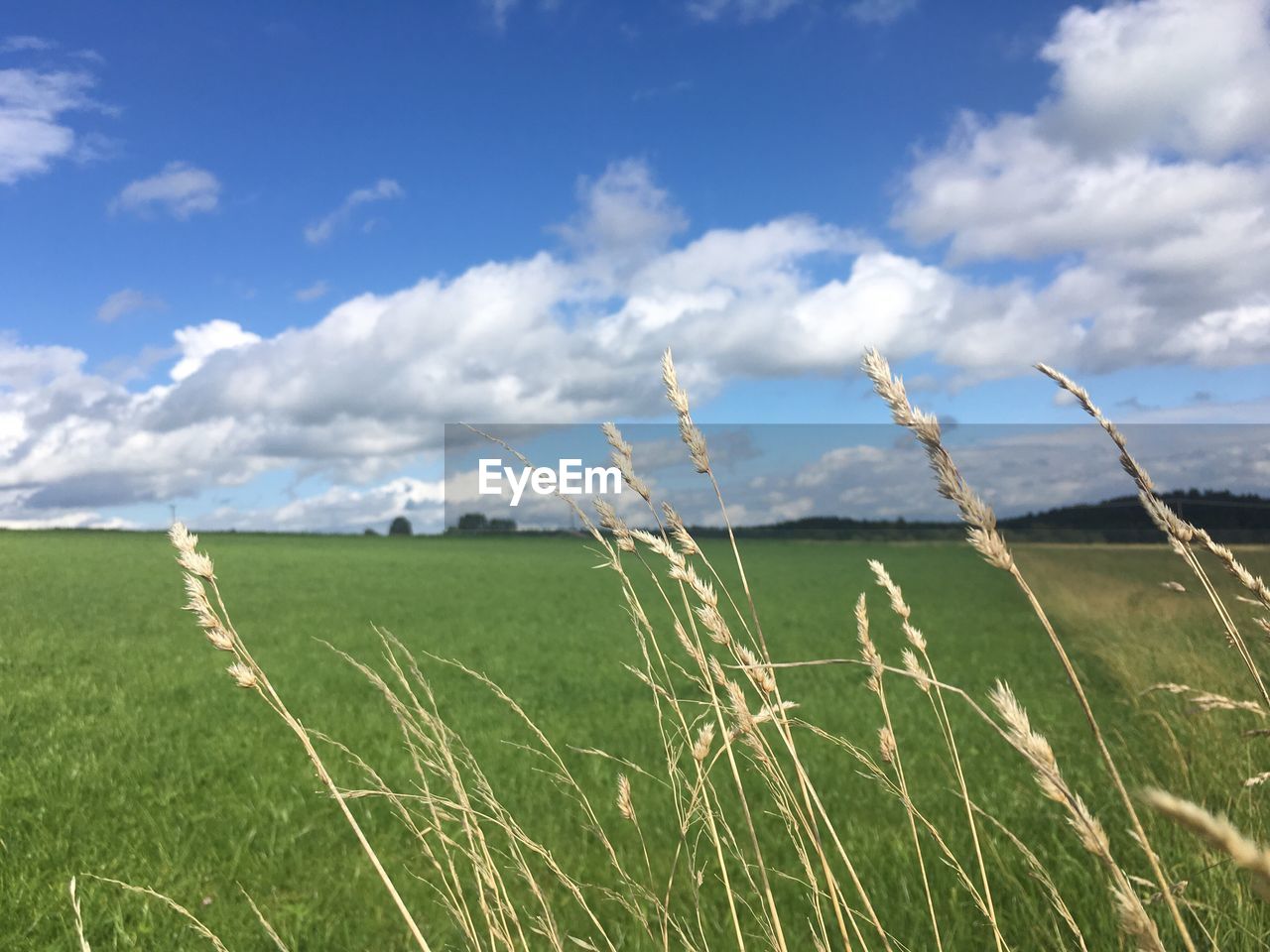 Scenic view of field against cloudy sky