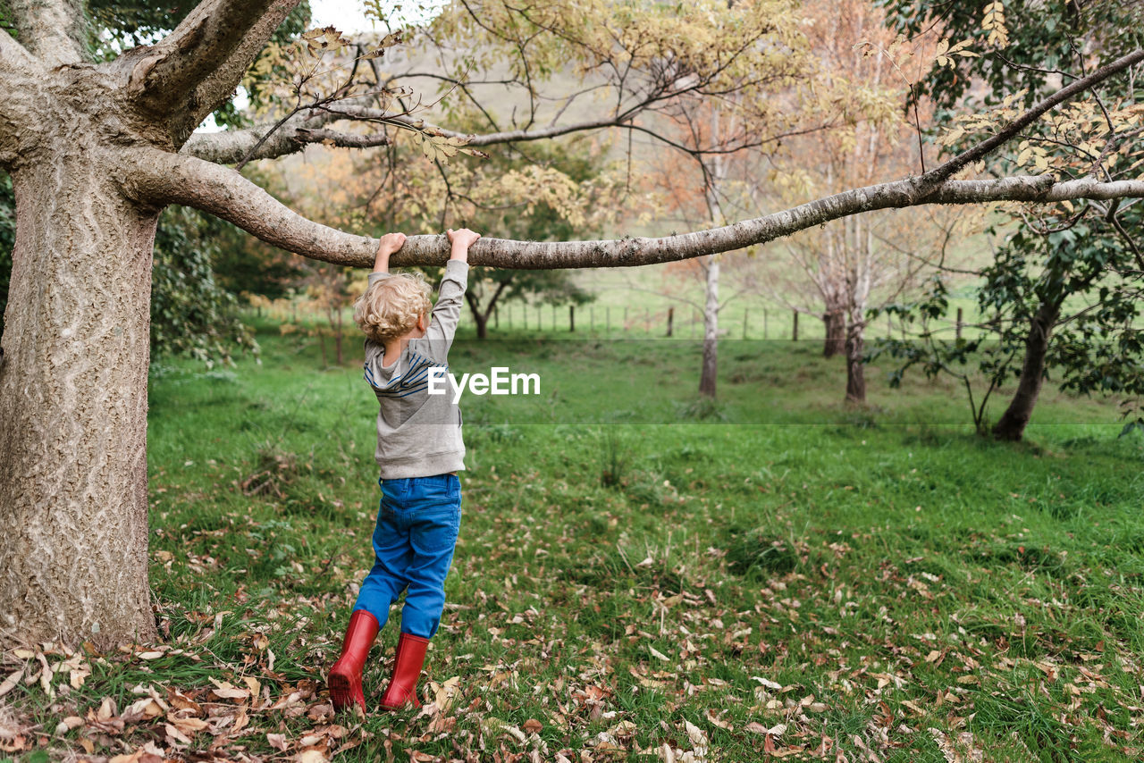 Young child holding a tree branch over green grass