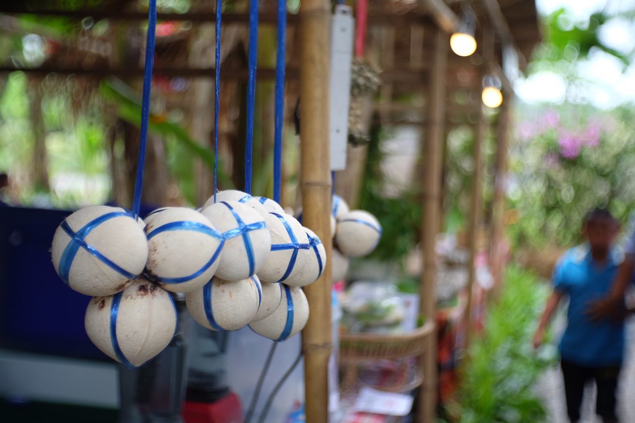 Close-up of coconuts hanging for sale at market stall