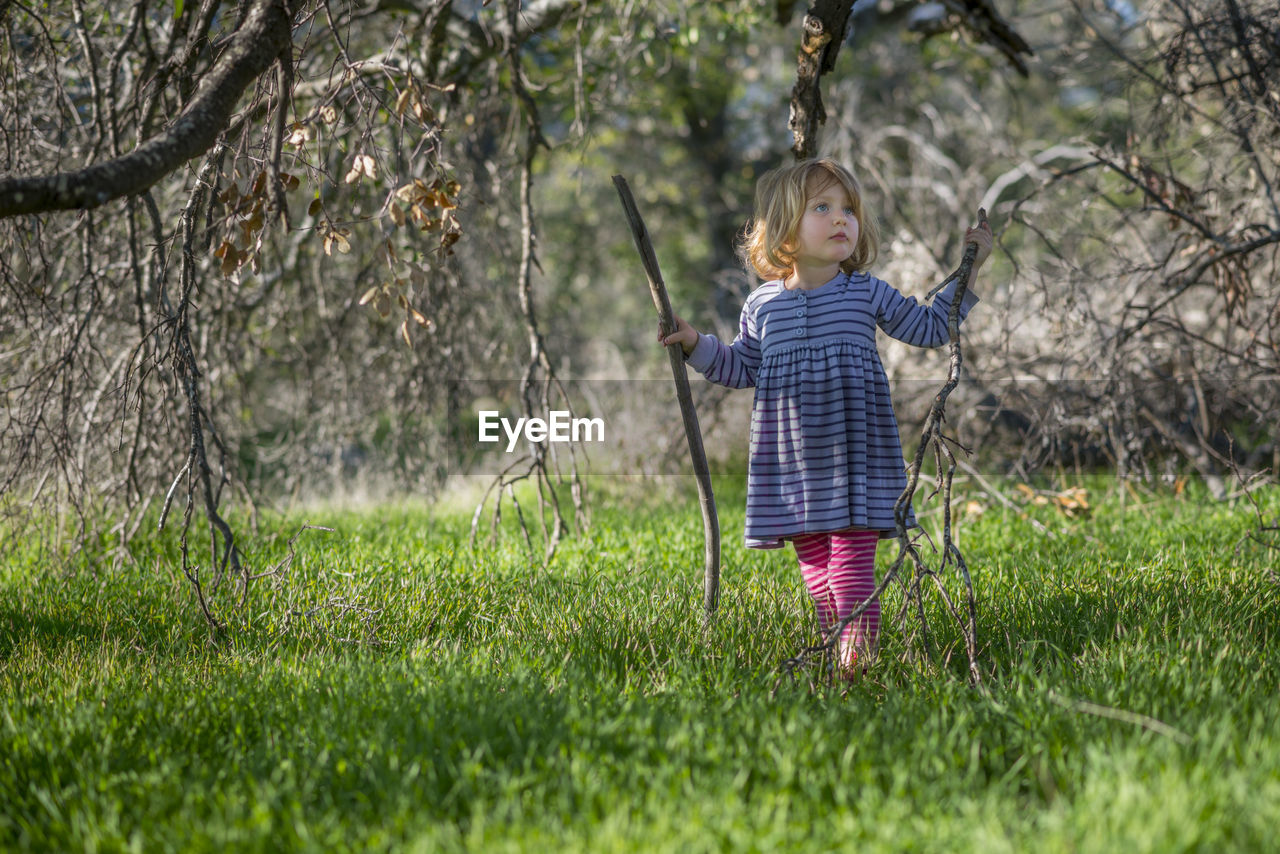 Girl holding sticks while standing on grassy field