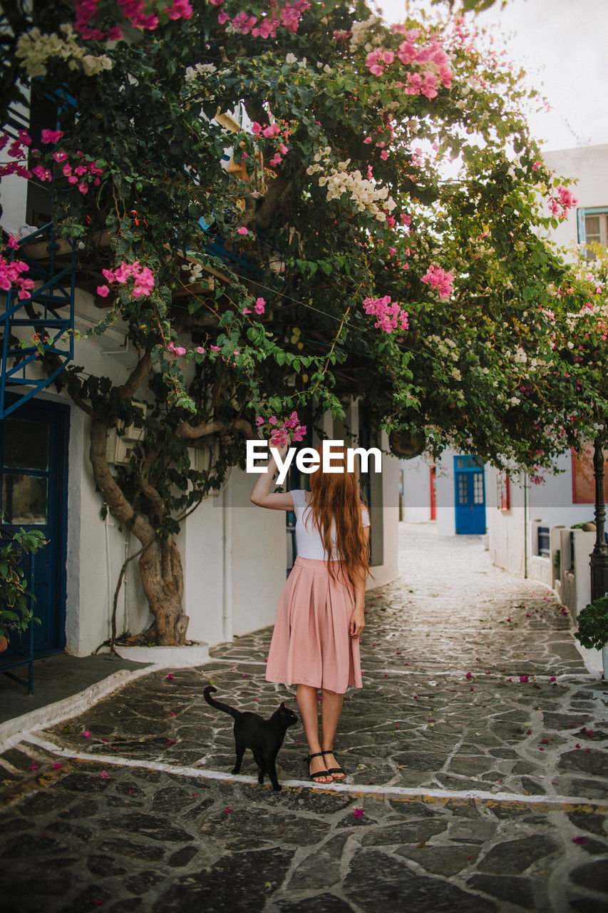 Full length anonymous female in stylish dress touching blossoming tree pink flowers while standing on stone pedestrian street near black cat in small authentic village in greece