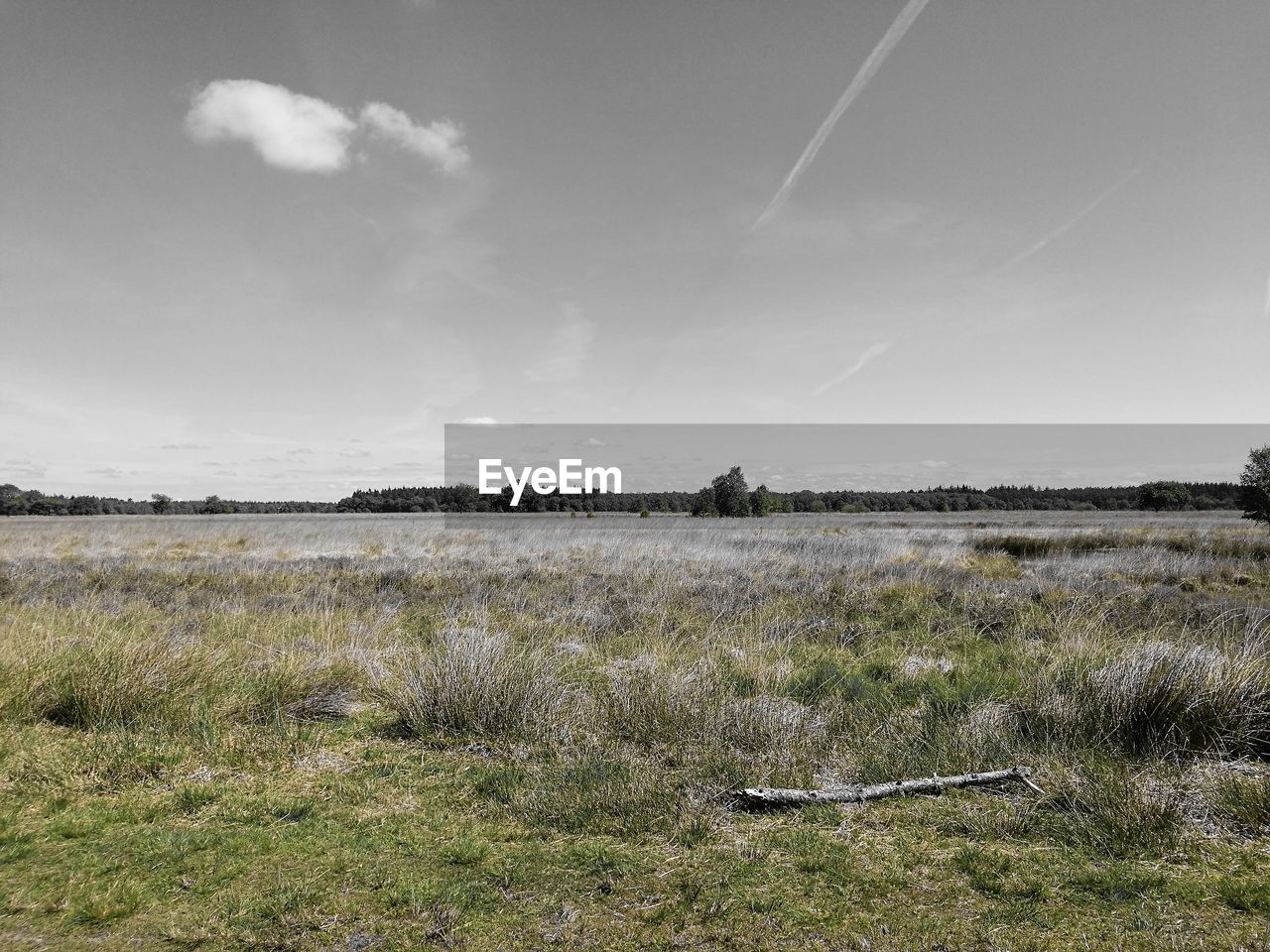 SCENIC VIEW OF FIELD AND LAKE AGAINST SKY