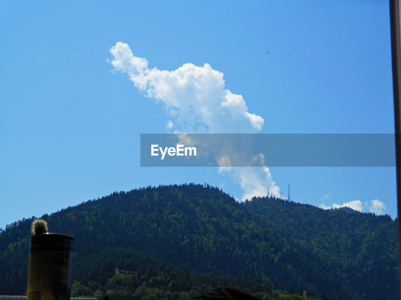 SCENIC VIEW OF BLUE SKY AND TREES AGAINST CLEAR BACKGROUND